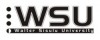 Walter Sisulu University (WSU) leads the way